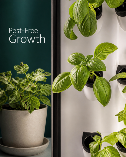 GrowLux